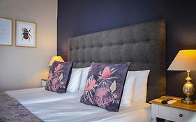 Olive Tree Private Rooms In Stellenbosch- No Load Shedding